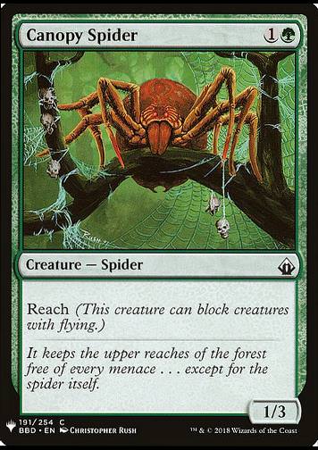Canopy Spider (Baldachinspinne)